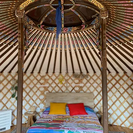 Glamping Anzio Sognando Yurta Campo di Carne