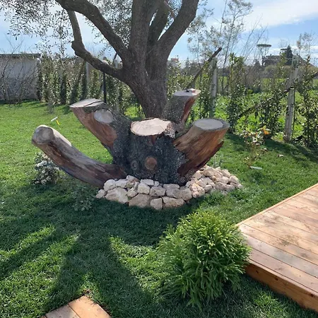 Glamping Anzio Sognando Yurta 3*